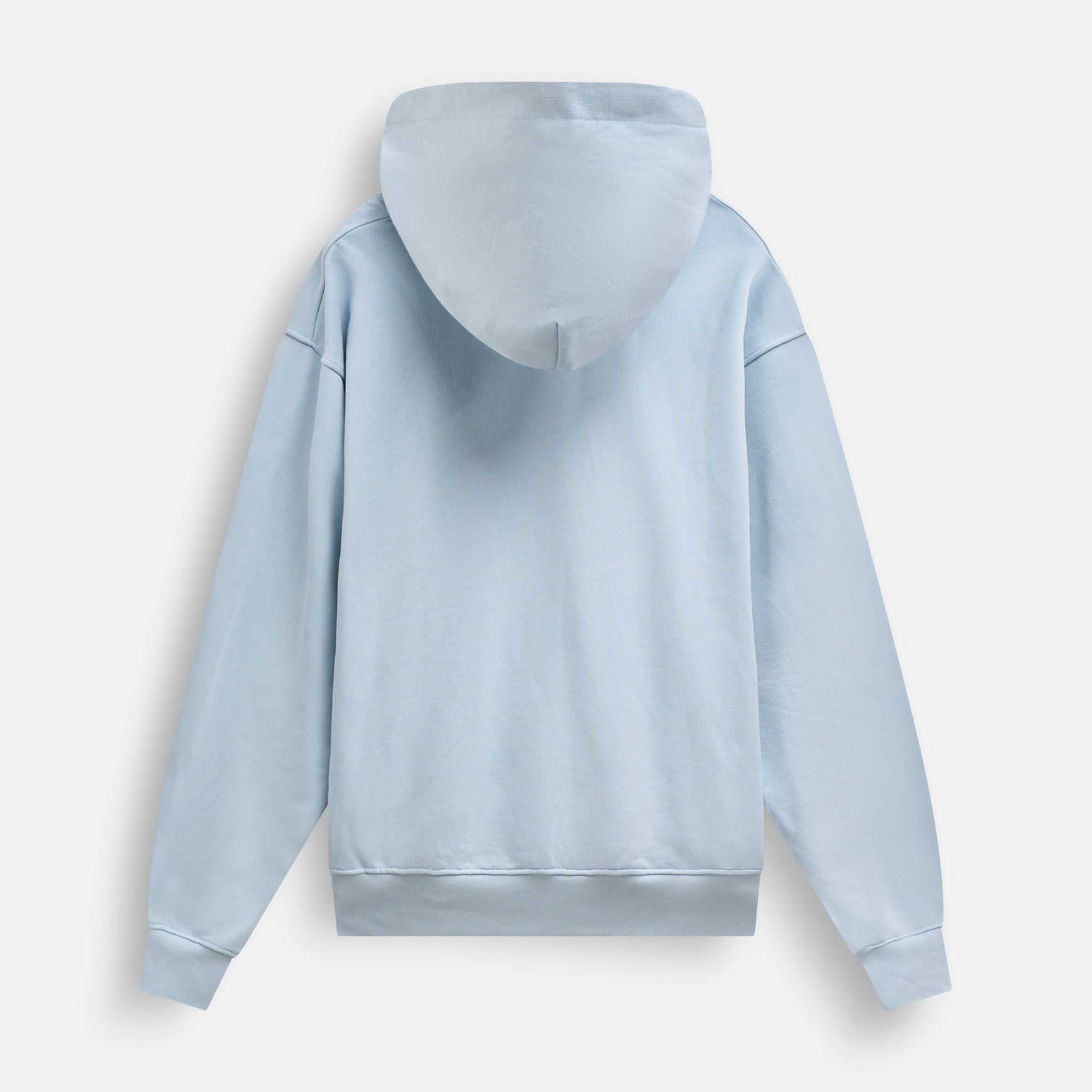 Blue Mascot Hoodie